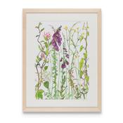 SUMMER HEDGEROW  PRINT 42 x 55 cm