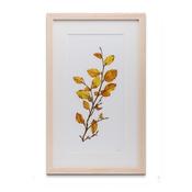 BEECH PRINT