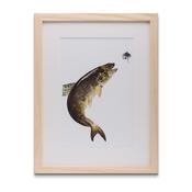 TROUT PRINT 30 x 40 cm