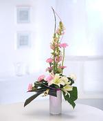 Classic Elegance image