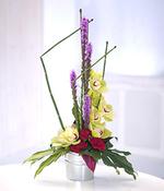 Opulent Orchids image