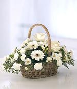 Pure Basket image