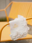 BUTTER DISH NAPKIN | SET OF TWO