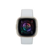 Fitbit Sense 2 Watch Blue Mist &amp; Soft Gold | 79-FB521GLBM