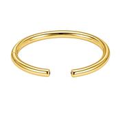 Arianna Bangle image