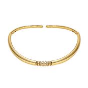 Arianna Torc image