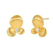 Kinsley Brushed Gold Plated Earrings image