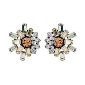Olivia Crystal &amp; Golden Shadow Earrings image