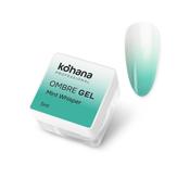 Ombre Gel - Mint Whisper image