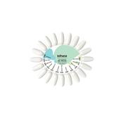 Classic Gel Polish Chart, Natural, Colours 067-078