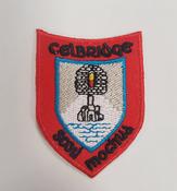 Scoil Mochua Badge