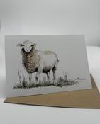 Mother Karol's Greeting Card - White Sheep