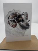 Mother Karol's Greeting Card - Black Faced Sheep