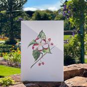 Mother Karols Apple Tree Card image