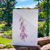 Mother Karols Foxglove Card