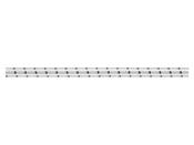 Shock Cord