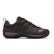 Columbia Men's Woodburn II Waterproof Trail Shoes (Cordovan/Cinnamon) image