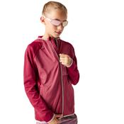 Dare 2B Kids Expedition Midlayer UPF50 Hooded Full Zip Fleece (Deep Claret)