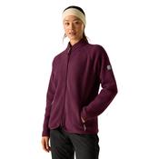 Dare 2B Women's Excursion Full Zip Fleece (Fig)