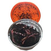 Dendro Worms (Tub) image