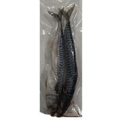 Frozen Bait - Mackerel (2 Pack)
