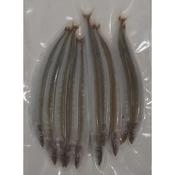 Frozen Bait - Sandeels (Large) image
