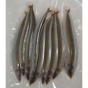 Frozen Bait - Sandeels (Medium) image
