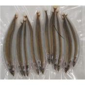 Frozen Bait - Sandeels (Small) image