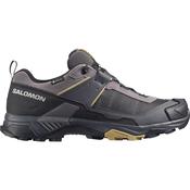 Salomon Men's X Ultra 5 Gore-Tex Trail Shoes (Dark Gull Gray/Asphalt) image
