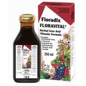 Salus Haus Floradix Floravital 500ml - Laois Pharmacy image