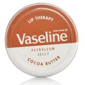 Vaseline Lip Therapy Lip Balm 20g - Laois Pharmacy image