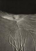 Dominic Turner, Paths Crossed