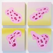 Conor O'Brien, Porous I, Porous II, Porous III, Porous IIII image