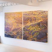 Julia Mitchell, West Cork Mountainscape image