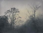 Ailbhe Barrett, Doorlus (nocturne)