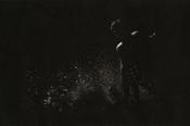 Dominic Turner, Starling