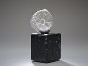 Rachel Joynt, Un Seen IV image