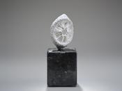 Rachel Joynt, Un Seen V image