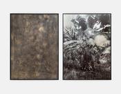 Ailbe Ní Bhriain, Untitled (plant)