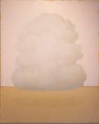 Diarmuid Breen, Pink Cloud