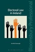 Electoral Law in Ireland image