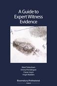 A Guide to Expert Witness Evidence image
