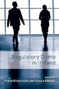 Regulatory Crime in Ireland image