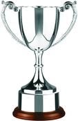 SWWC6 Cast Cup image