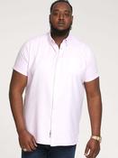 D555 James Oxford Shirt P K image