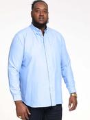 D555 Oxford Shirt Richard K image