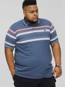 D555 Easton Pique Polo B K image