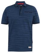 D555 Foxley Pique Polo Db R image