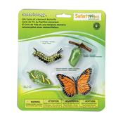 Safariology - Life Cycle of a Monarch Butterfly - The Learning Lab