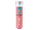 Science Stuff - Sand Slime - The Learning Lab